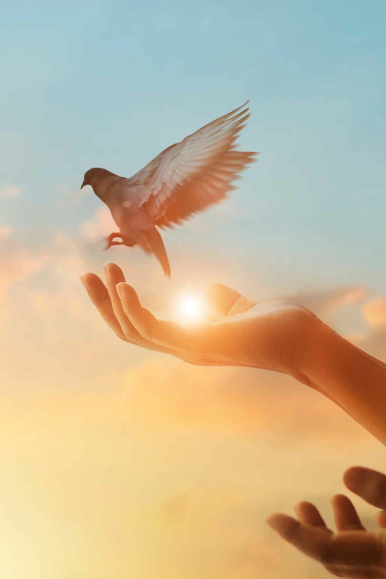soul to soul communication technique