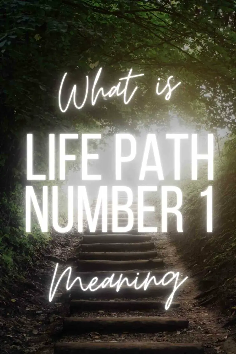 life path numbers