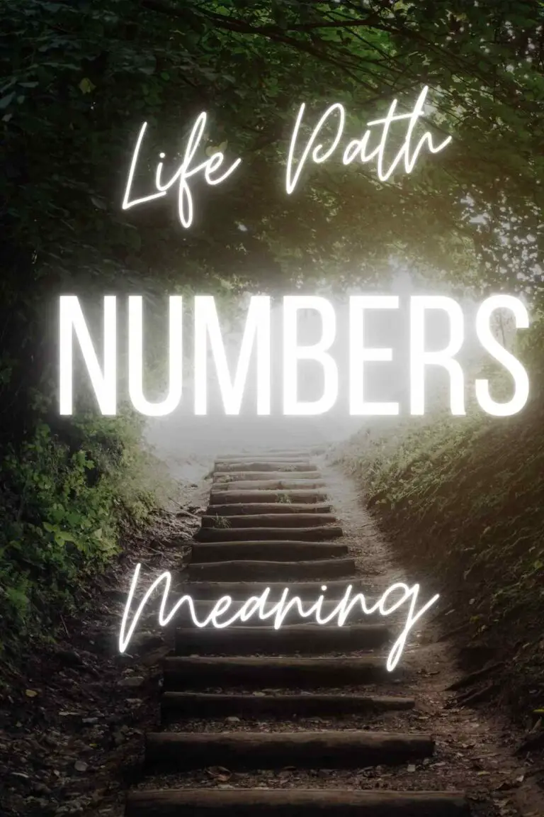 life path numbers in numerology