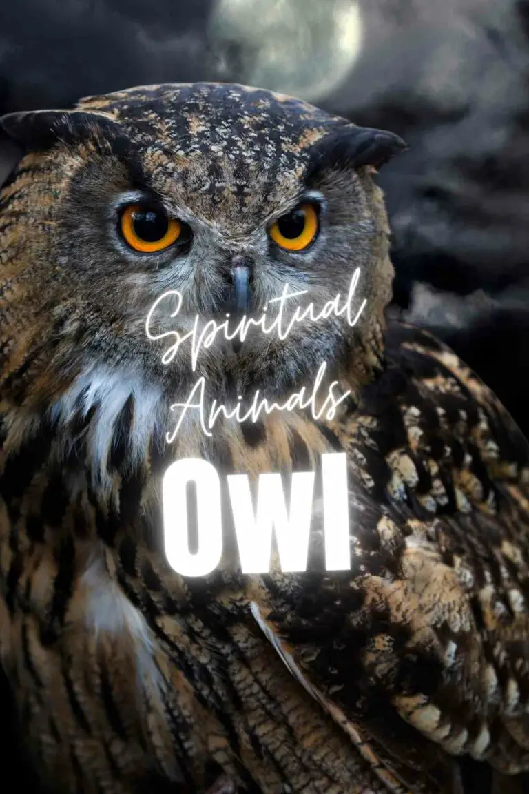 Owl Spirit Animal Meaning and Symbolism: Deep Wisdom And Intuitive Knowledge