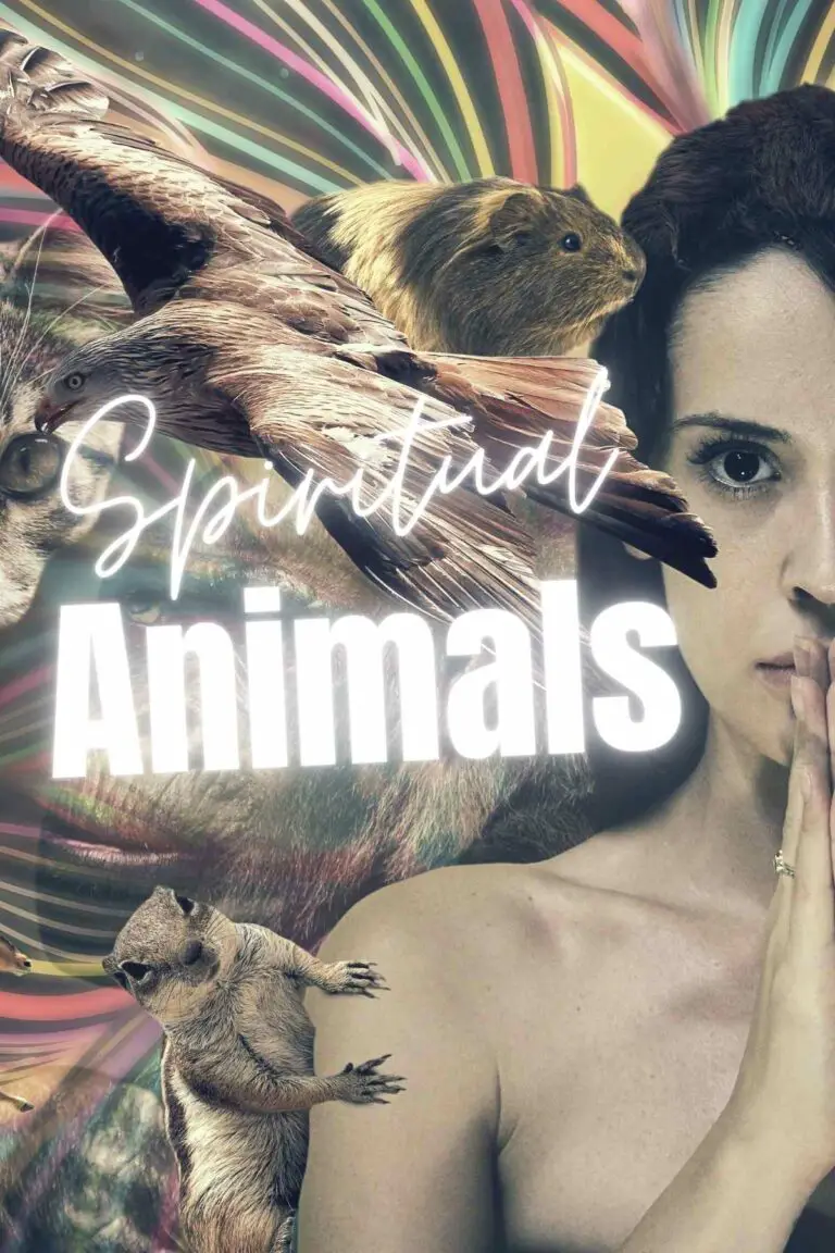 Discover Your Spirit Animal: Spiritual Animal List & Their Symbolic Meaning