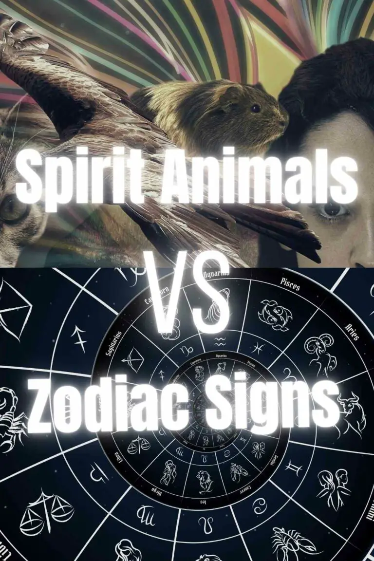 Are Spirit Animals Related to Zodiac Signs?