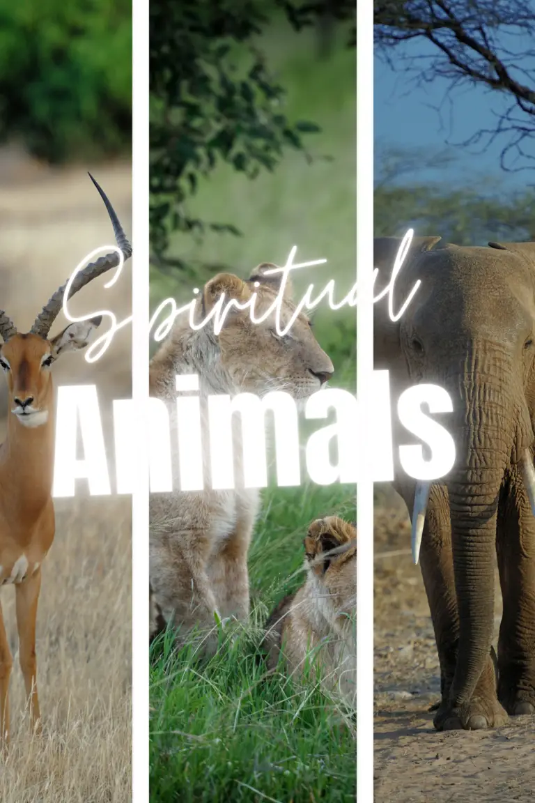 Does Everybody Have a Spirit Animal?