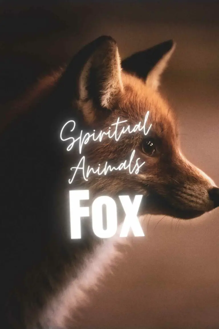 Fox Spirit Animal: Symbolism, Totems, and Messages