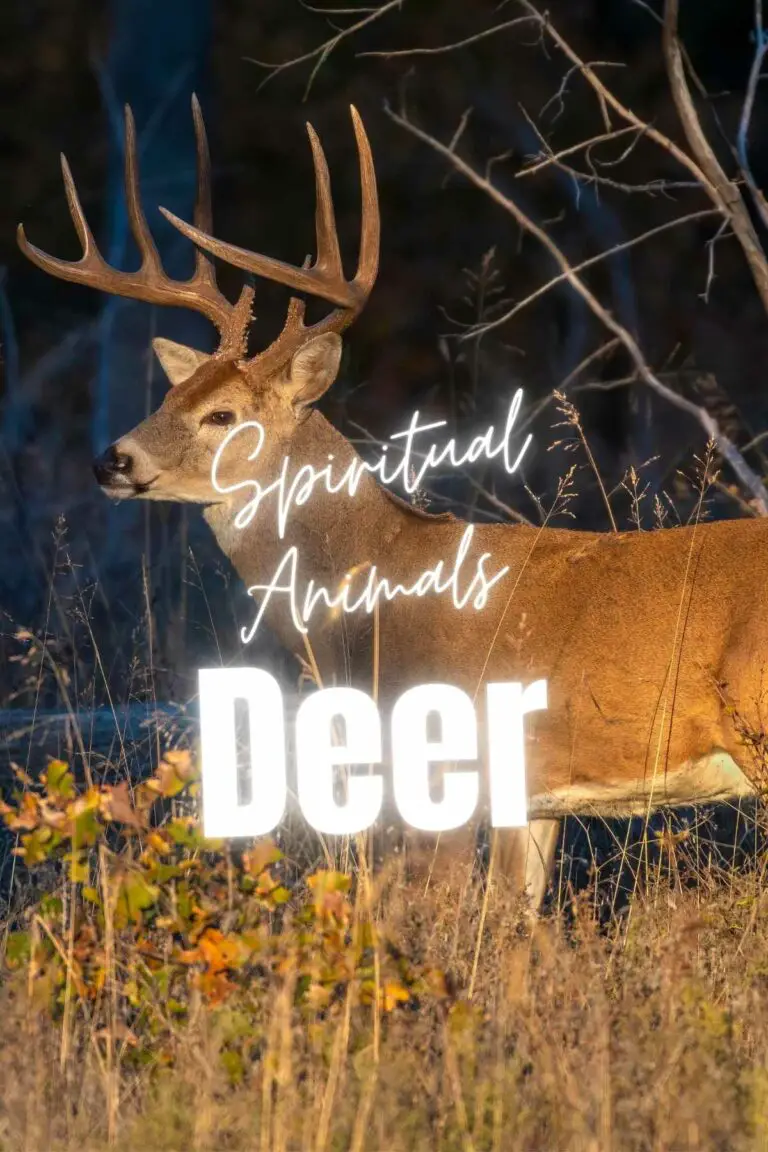 The Deer Spirit Animal: The Wisdom and Symbolism