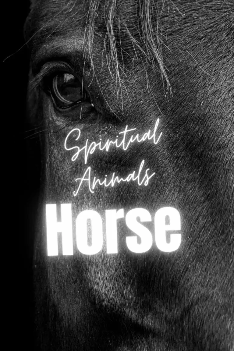 The Horse Spirit Animal: The Deep Meaning and Symbolism